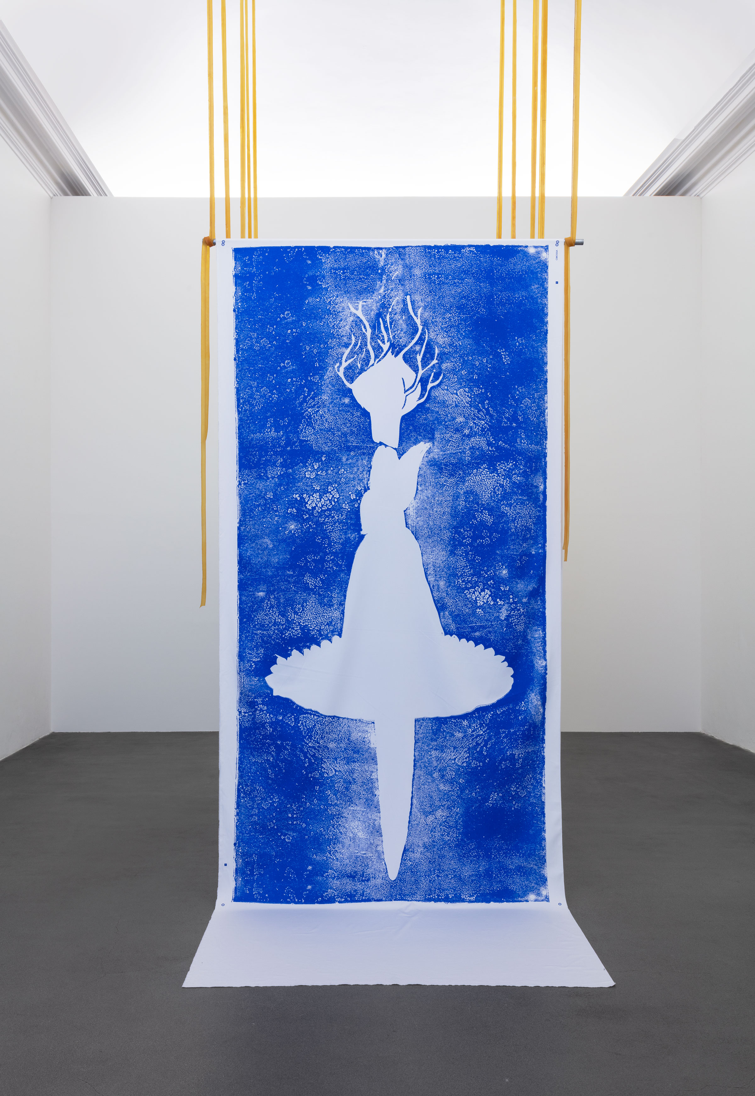 Rossella Biscotti, Live Feed (Feed in diretta), 2019